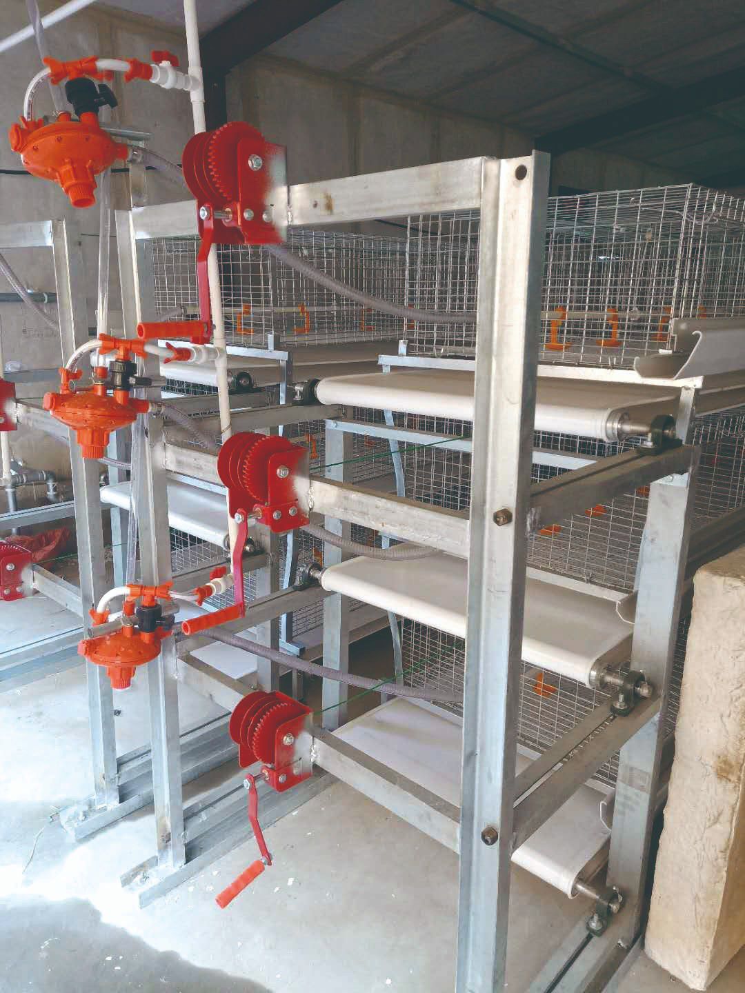 黑龙江817肉鸡笼养设备生产厂家